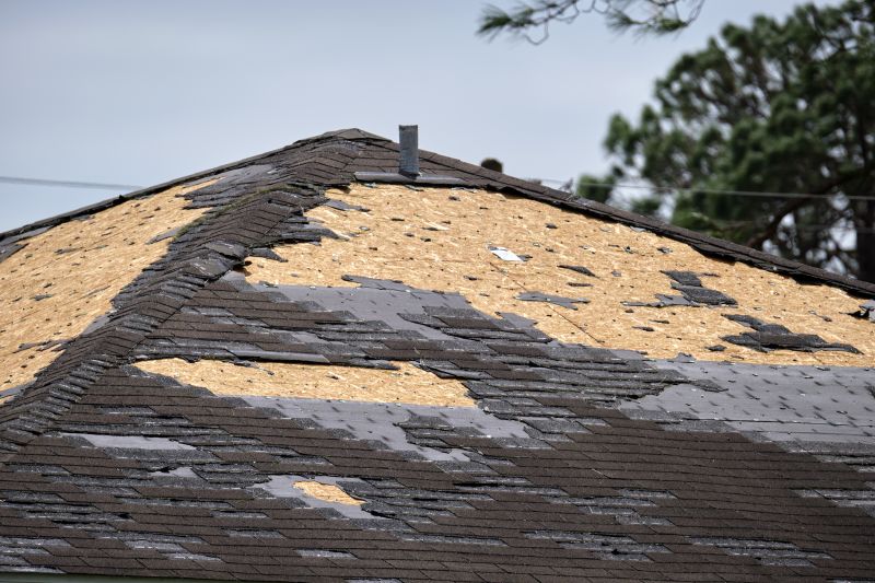 Shingle Damage Assessment